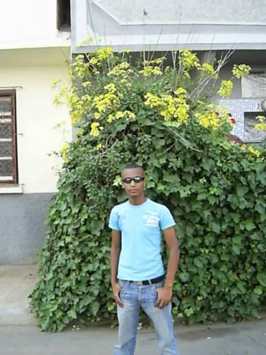 mohssin